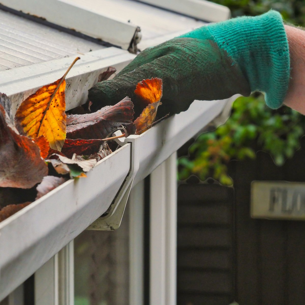 Gutter soffit and fascia cleaning service